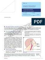 Carotisendarteriektomie 06 2023