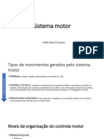 Controle Motor