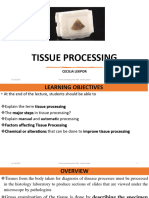 TISSUE PROCESSING-2023 Evening and Weekend