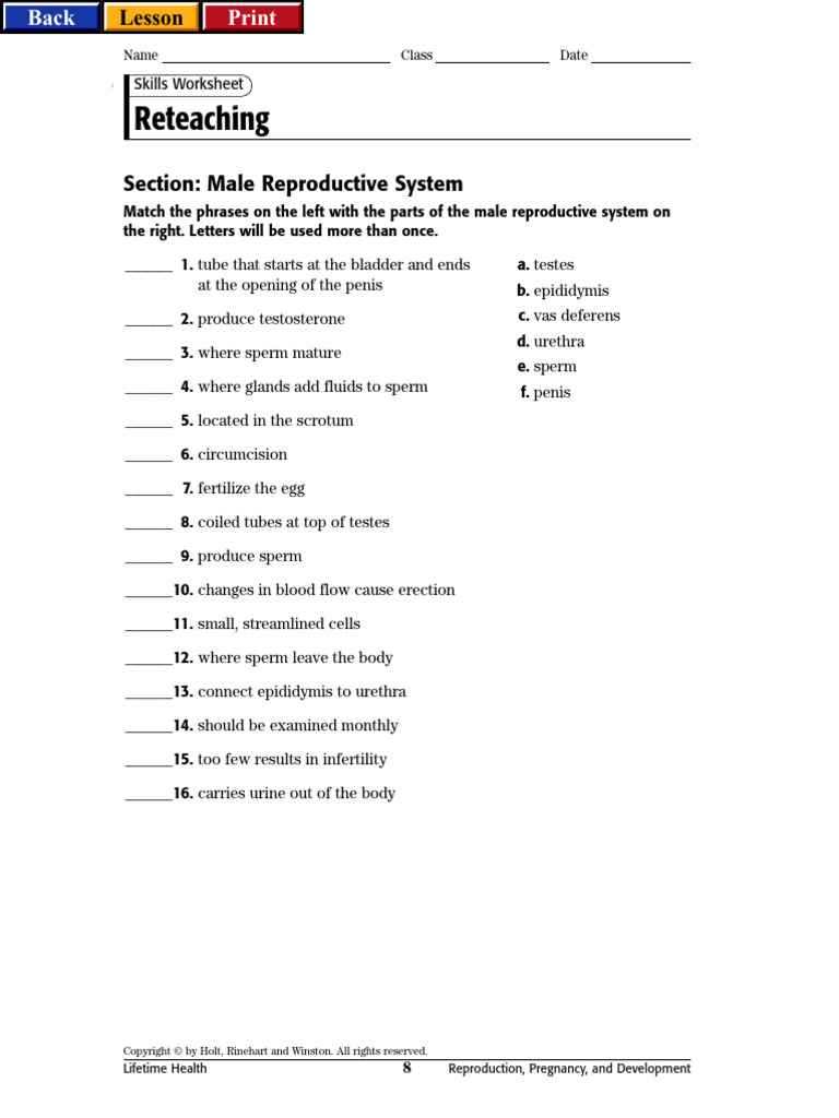 ch-18-male-worksheet2-pdf-fit-forever-pdf-reproductive-system