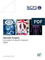 Vascular Surgery A Model of Care For Ireland 2023