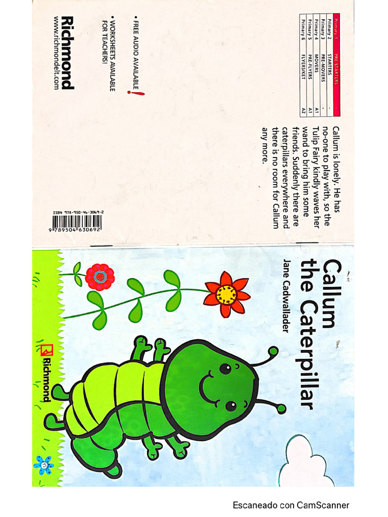 Year 2 2024 Summer Reading Callum and The ... | PDF