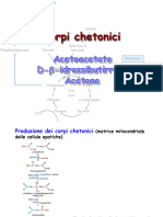 Corpi Chetonici-Acidi Grassi