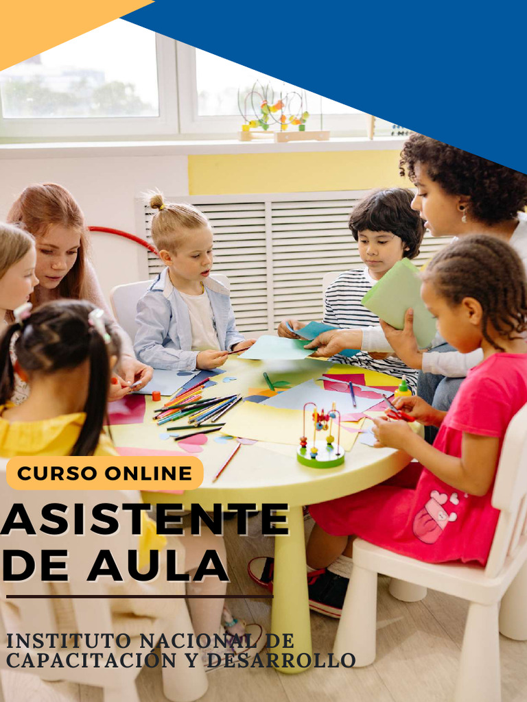 Programa Asistente de Aula | PDF