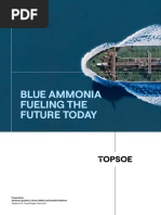 White Paper Blue Ammonia Fueling The Future Today 1705324080
