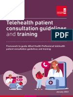 103163A Telehealth Guidelines Document Final