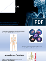 The Skeletal System