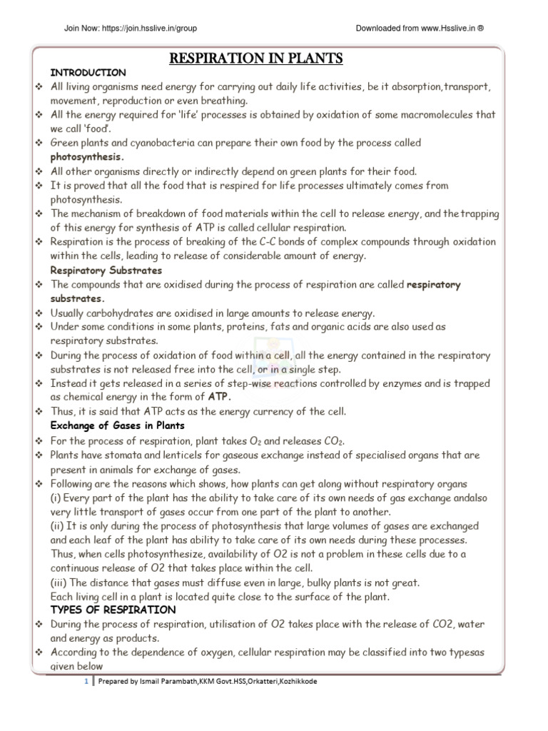 HsslivexibotanyRESPIRATION IN PLANTS8 PDF Glycolysis Cellular
