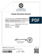 Visado Secretaría General: HERNÁN ALEJANDRO MUÑOZ GÁLVEZ, Director Nacional de Registro Académico