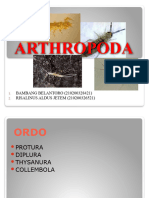 ARTHROPODA