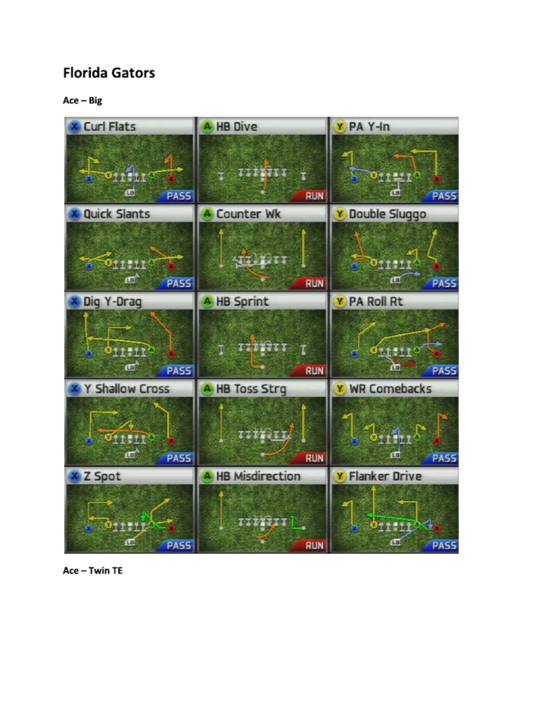 2011 Florida Offensive Playbook PDF