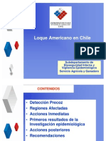 Loque en Chile