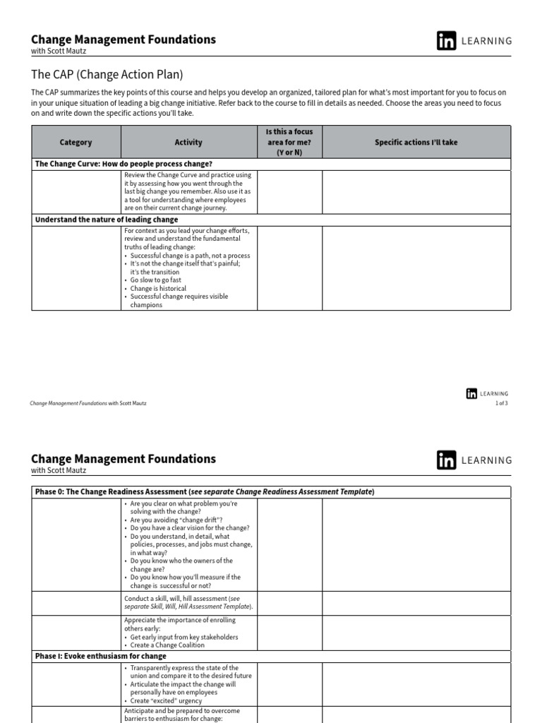 The CAP (Change Action Plan) PDF