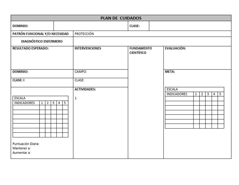 Plan de Cuidados y Evaluación Enfermera | PDF