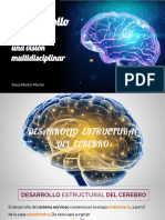 Presentación PPT Desarrollo Cerebral