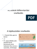 Az Állatok Létfenntartási Viselkedés