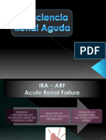 Aula 08 - Insuficiencia Renal Aguda