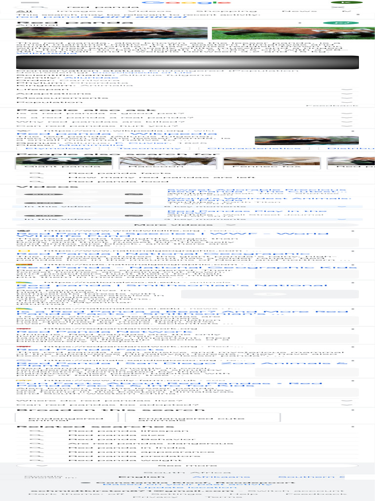 Red Panda - Google Search | PDF | Giant Panda | Organisms