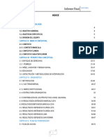 Informe Final