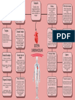 Sistema Cardiovascular-Mapa Conceitual Gabi