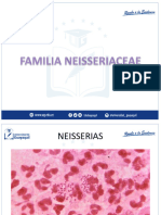 Familia Neiseriaceae