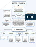 Mapa Conceptual Del Sistema Endocrino 3