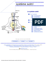 Le Systšme Subtil