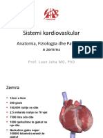 Sistemi Kardiovaskular: Anatomia, Fiziologjia Dhe Patologjia e Zemres