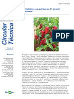 Circular Técnica: Capsicum