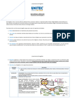 Lineamientos y Rúbrica Correspondiente Al Entregable 1 Infografía. Semana 2