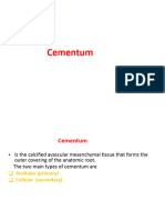 5 - Cementum