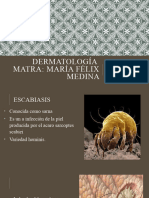 Dermatología - PPTX Eq. 4