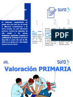Valoracion Primaria (Sura)