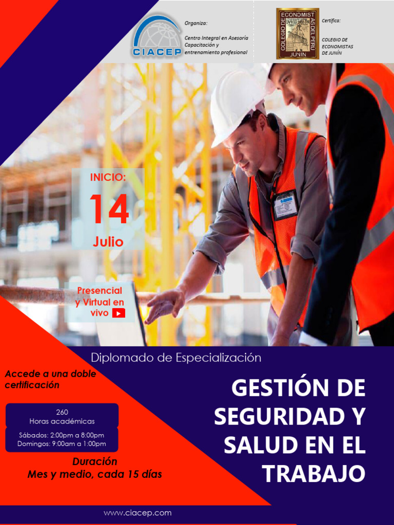 Seguridad Y Salud Ocupacional Pdf Business