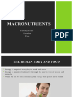 Macronutrients 2023