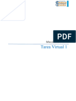 Tarea Virtual 1