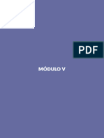 Manual DBT Modulo V