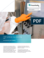 GMP Antibody Manufacturing