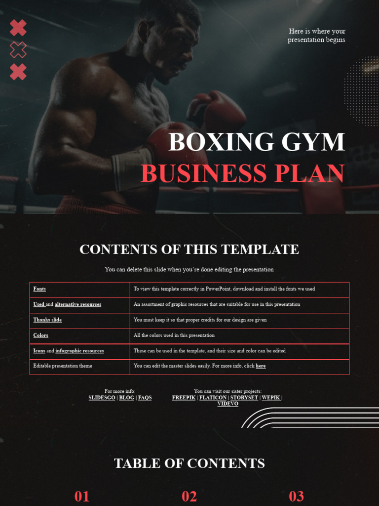 Boxing Gym Business Plan Overview | PDF | Marketing | Business Model
