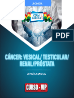 Cancer Vesical Testicular Renal y Prostatico 2023