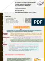 Análisis Técnico Juridico Del Expediente Constitucional - S13
