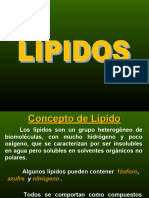 Lipidos 11 12 1