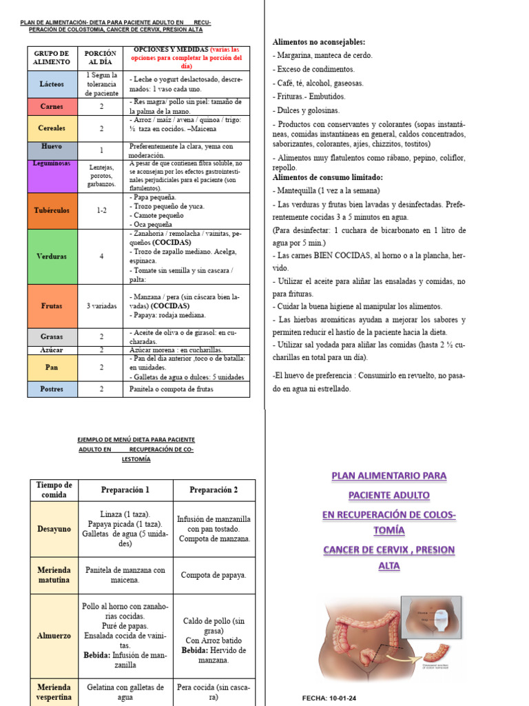 Plan Alimentario Recuperación de Colostomia, para Cancer de Cervix y ...