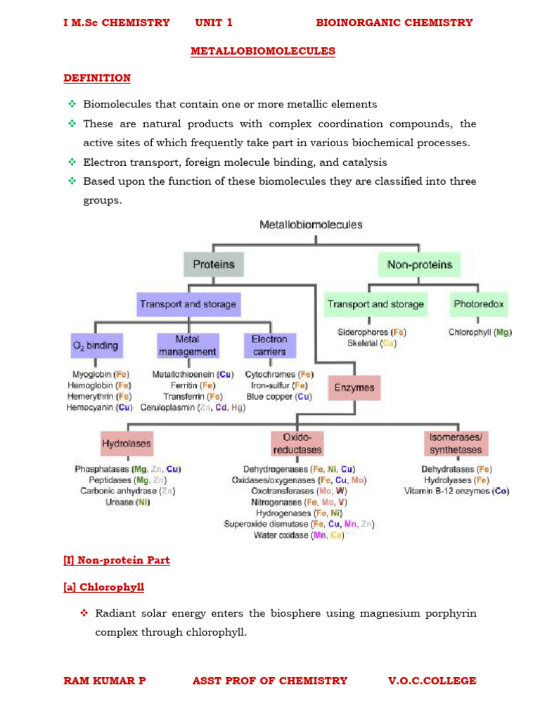 METALLOBIMOLECULES | PDF | Iron | Bioinorganic Chemistry