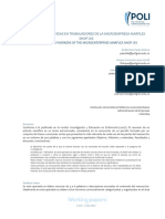 ANEXO 1. Formato de Working Papers - Introducción