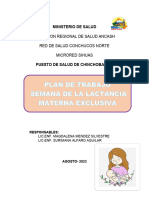 Plan de Trabajo de Lactanci Materna 2023-Chinchobamba