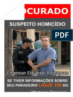 Emerson Eduardo Rodrigues Setim: Currículo