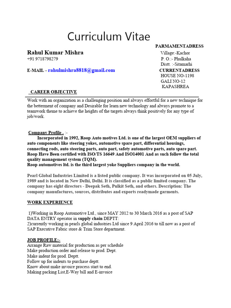 SAP Supply Chain Professional CV | PDF | Supply Chain | Business