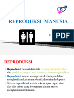Anfis - 4 - Reproduksi Manusia PDF