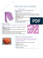 Final de Patologia